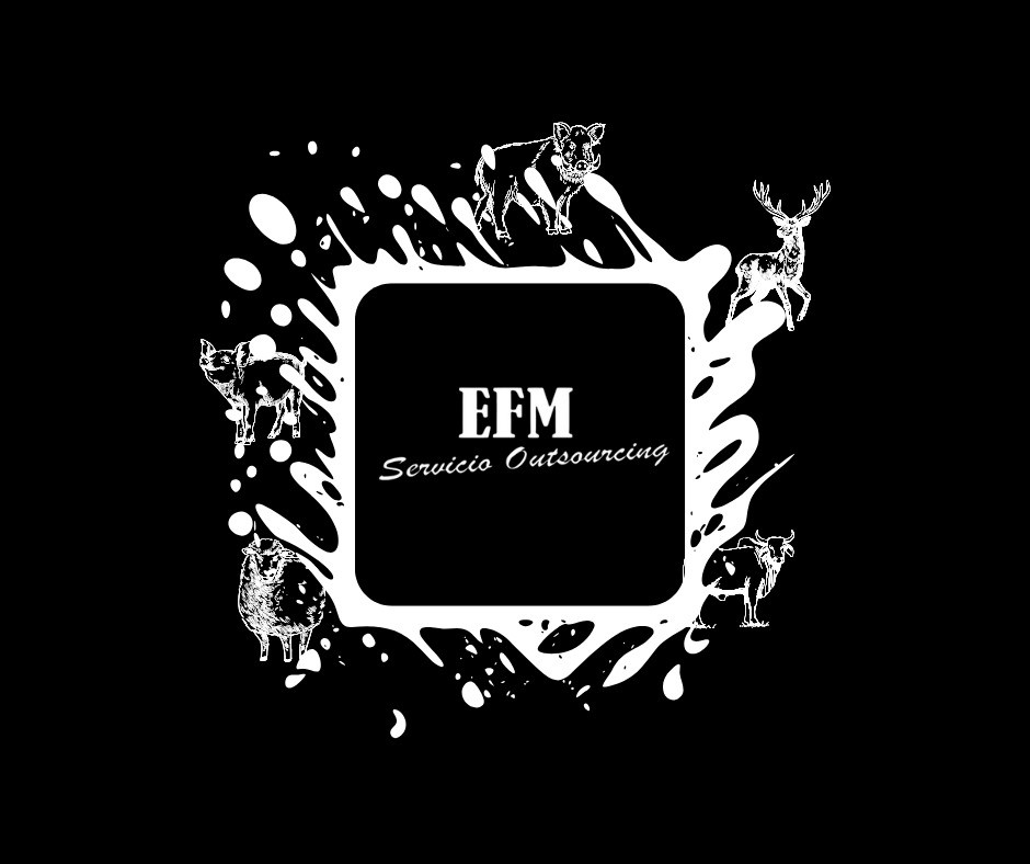 Logo EFM